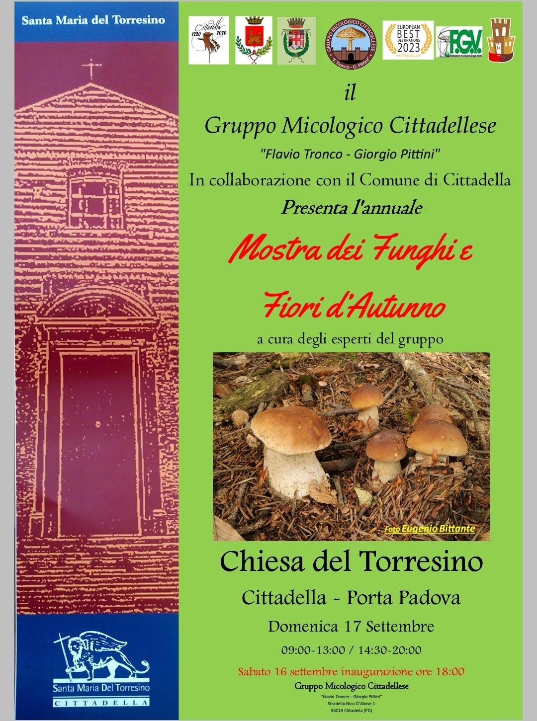 Mostra dei funghi e fiori d'autunno